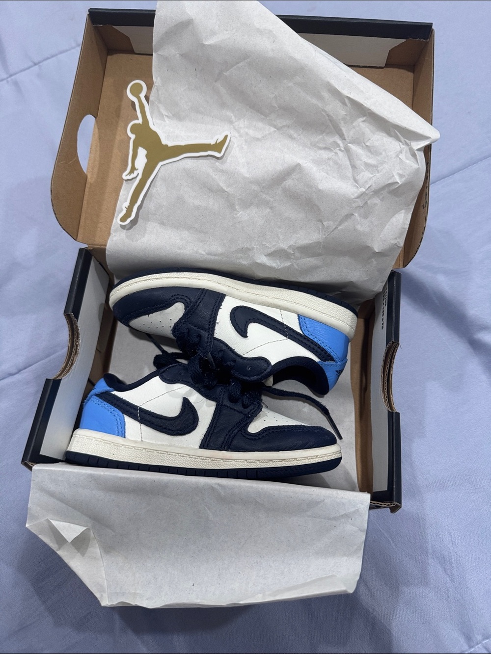 Jordan Low Top Sneakers in White, Navy & Blue
